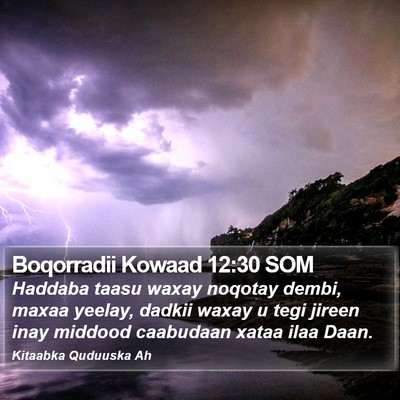 Boqorradii Kowaad 12:30 SOM Bible Verse Image