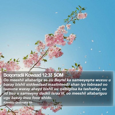 Boqorradii Kowaad 12:33 SOM Bible Verse Image