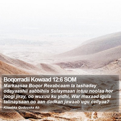Boqorradii Kowaad 12:6 SOM Bible Verse Image