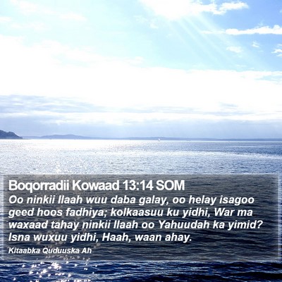 Boqorradii Kowaad 13:14 SOM Bible Verse Image