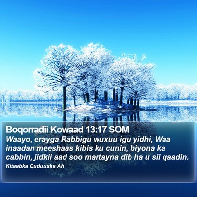Boqorradii Kowaad 13:17 SOM Bible Verse Image