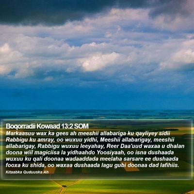 Boqorradii Kowaad 13:2 SOM Bible Verse Image