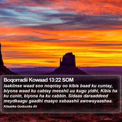 Boqorradii Kowaad 13:22 SOM Bible Verse Image