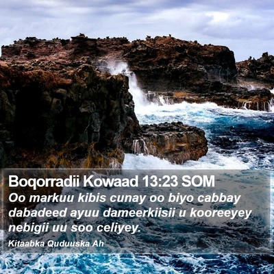 Boqorradii Kowaad 13:23 SOM Bible Verse Image