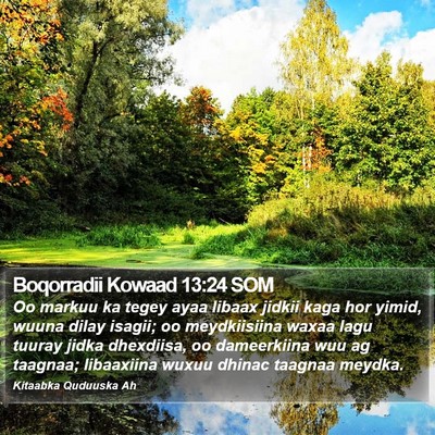 Boqorradii Kowaad 13:24 SOM Bible Verse Image