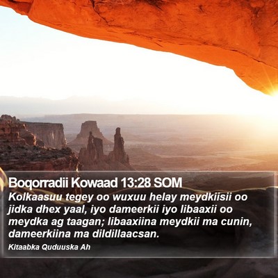 Boqorradii Kowaad 13:28 SOM Bible Verse Image