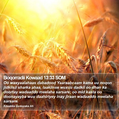 Boqorradii Kowaad 13:33 SOM Bible Verse Image