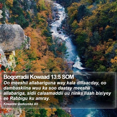 Boqorradii Kowaad 13:5 SOM Bible Verse Image