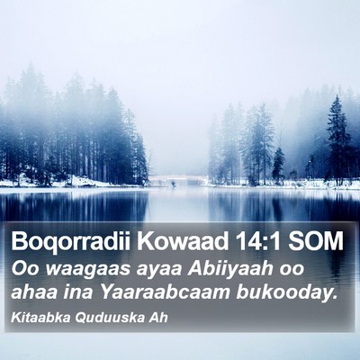 Boqorradii Kowaad 14:1 SOM Bible Verse Image