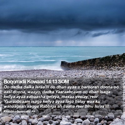 Boqorradii Kowaad 14:13 SOM Bible Verse Image