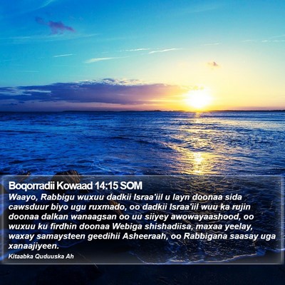 Boqorradii Kowaad 14:15 SOM Bible Verse Image