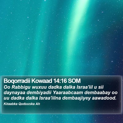 Boqorradii Kowaad 14:16 SOM Bible Verse Image