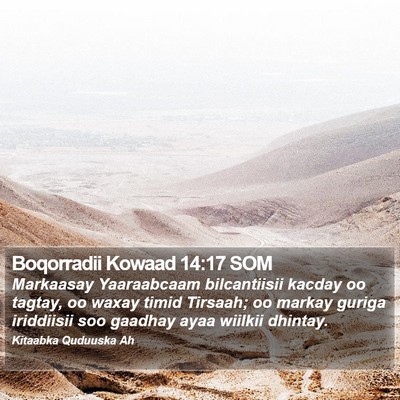 Boqorradii Kowaad 14:17 SOM Bible Verse Image