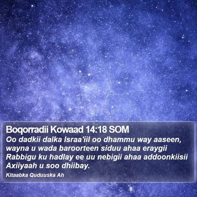 Boqorradii Kowaad 14:18 SOM Bible Verse Image