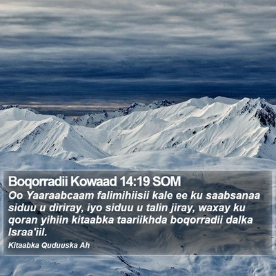 Boqorradii Kowaad 14:19 SOM Bible Verse Image