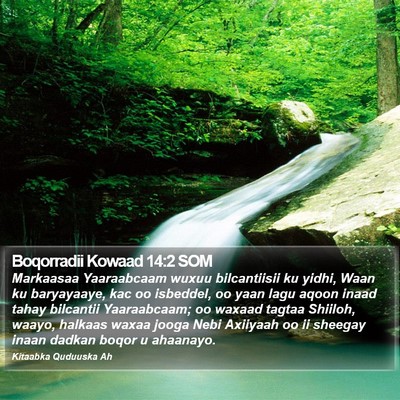 Boqorradii Kowaad 14:2 SOM Bible Verse Image