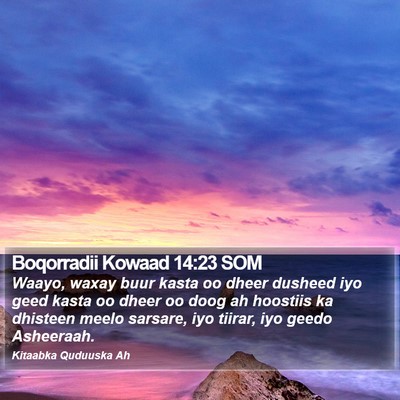 Boqorradii Kowaad 14:23 SOM Bible Verse Image
