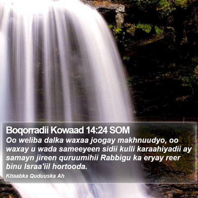 Boqorradii Kowaad 14:24 SOM Bible Verse Image