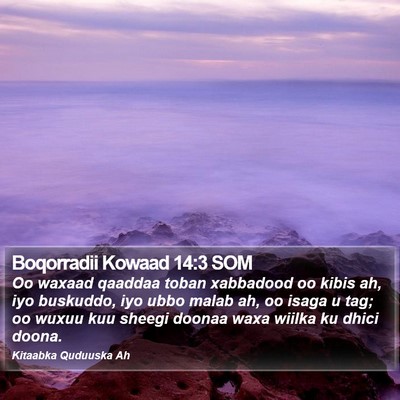 Boqorradii Kowaad 14:3 SOM Bible Verse Image