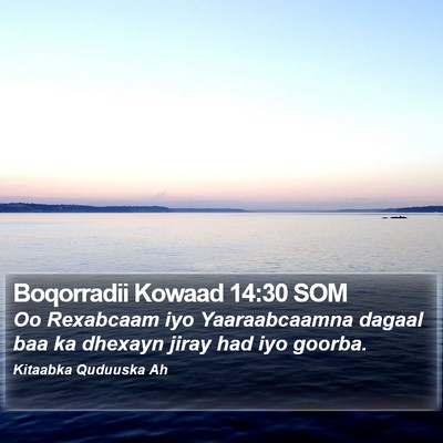 Boqorradii Kowaad 14:30 SOM Bible Verse Image