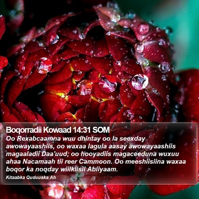 Boqorradii Kowaad 14:31 SOM Bible Verse Image