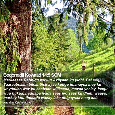 Boqorradii Kowaad 14:5 SOM Bible Verse Image