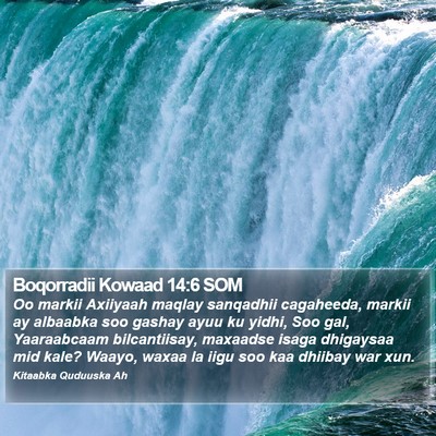 Boqorradii Kowaad 14:6 SOM Bible Verse Image
