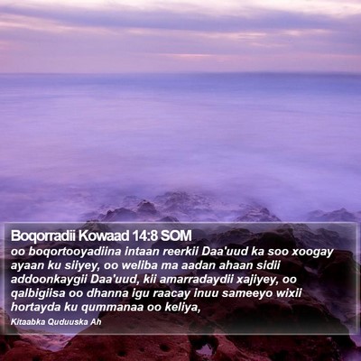 Boqorradii Kowaad 14:8 SOM Bible Verse Image