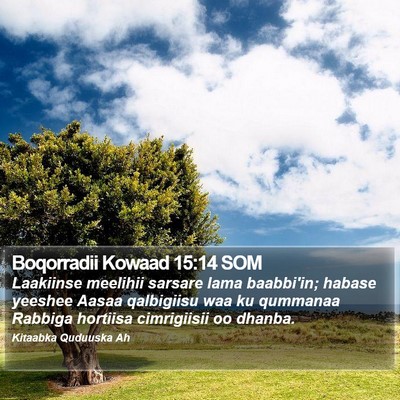 Boqorradii Kowaad 15:14 SOM Bible Verse Image