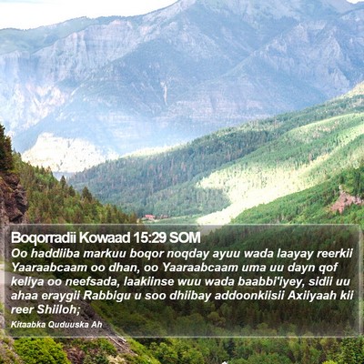 Boqorradii Kowaad 15:29 SOM Bible Verse Image