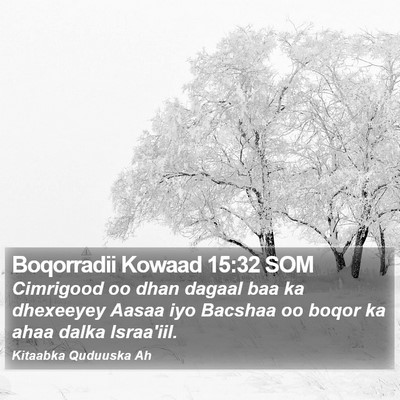 Boqorradii Kowaad 15:32 SOM Bible Verse Image