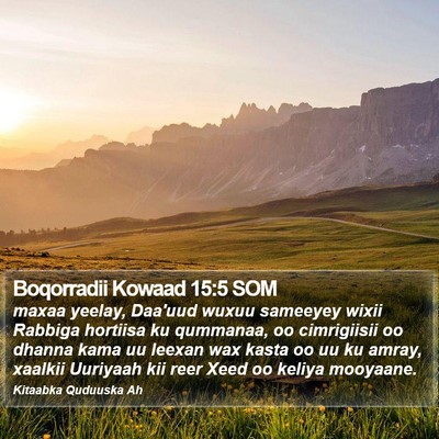 Boqorradii Kowaad 15:5 SOM Bible Verse Image