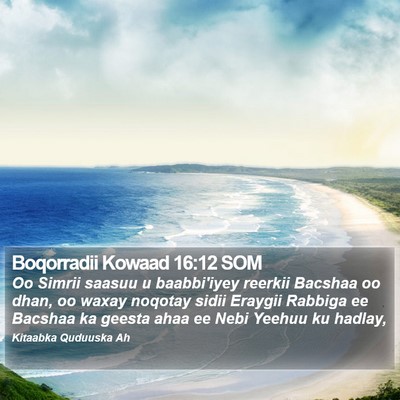 Boqorradii Kowaad 16:12 SOM Bible Verse Image