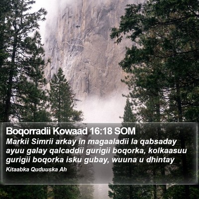 Boqorradii Kowaad 16:18 SOM Bible Verse Image
