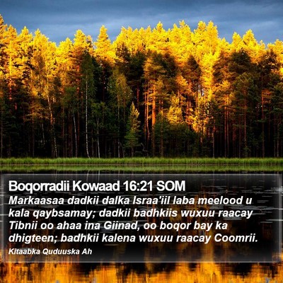 Boqorradii Kowaad 16:21 SOM Bible Verse Image