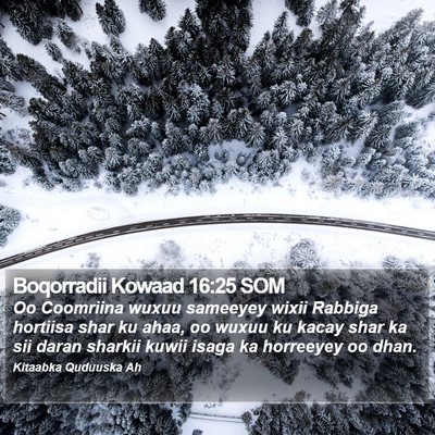 Boqorradii Kowaad 16:25 SOM Bible Verse Image