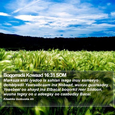 Boqorradii Kowaad 16:31 SOM Bible Verse Image