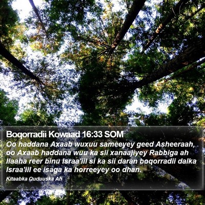 Boqorradii Kowaad 16:33 SOM Bible Verse Image