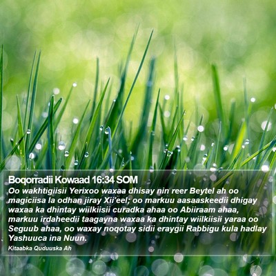 Boqorradii Kowaad 16:34 SOM Bible Verse Image