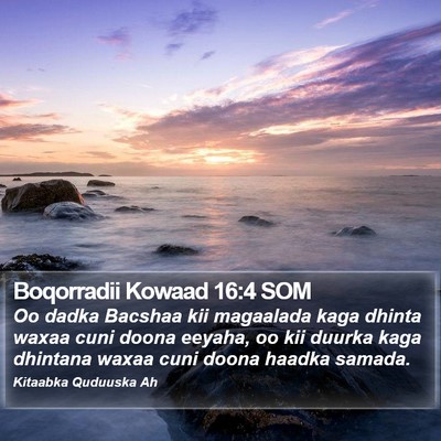 Boqorradii Kowaad 16:4 SOM Bible Verse Image