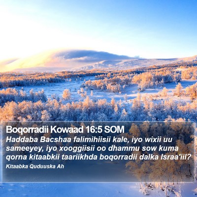 Boqorradii Kowaad 16:5 SOM Bible Verse Image