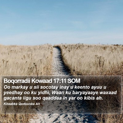Boqorradii Kowaad 17:11 SOM Bible Verse Image