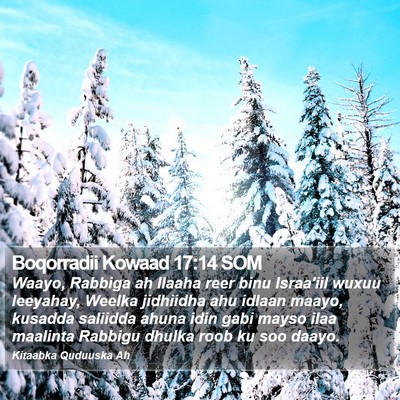 Boqorradii Kowaad 17:14 SOM Bible Verse Image