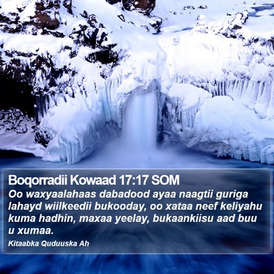 Boqorradii Kowaad 17:17 SOM Bible Verse Image