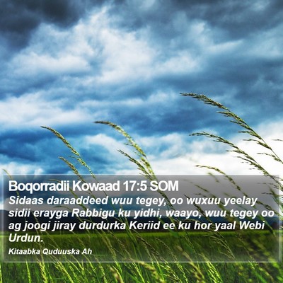 Boqorradii Kowaad 17:5 SOM Bible Verse Image