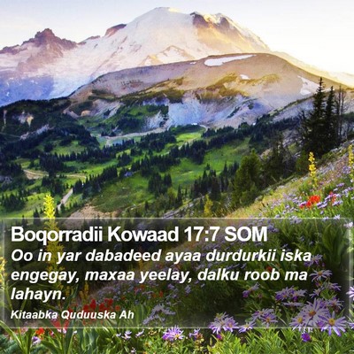 Boqorradii Kowaad 17:7 SOM Bible Verse Image