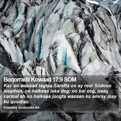 Boqorradii Kowaad 17:9 SOM Bible Verse Image