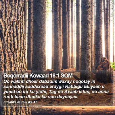 Boqorradii Kowaad 18:1 SOM Bible Verse Image