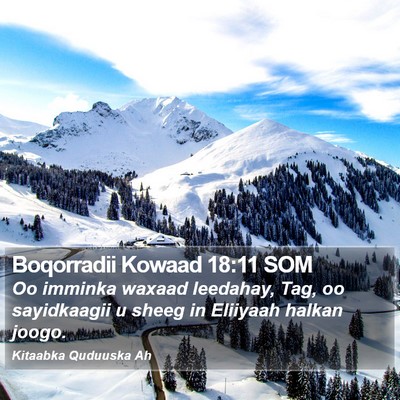 Boqorradii Kowaad 18:11 SOM Bible Verse Image