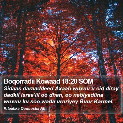 Boqorradii Kowaad 18:20 SOM Bible Verse Image